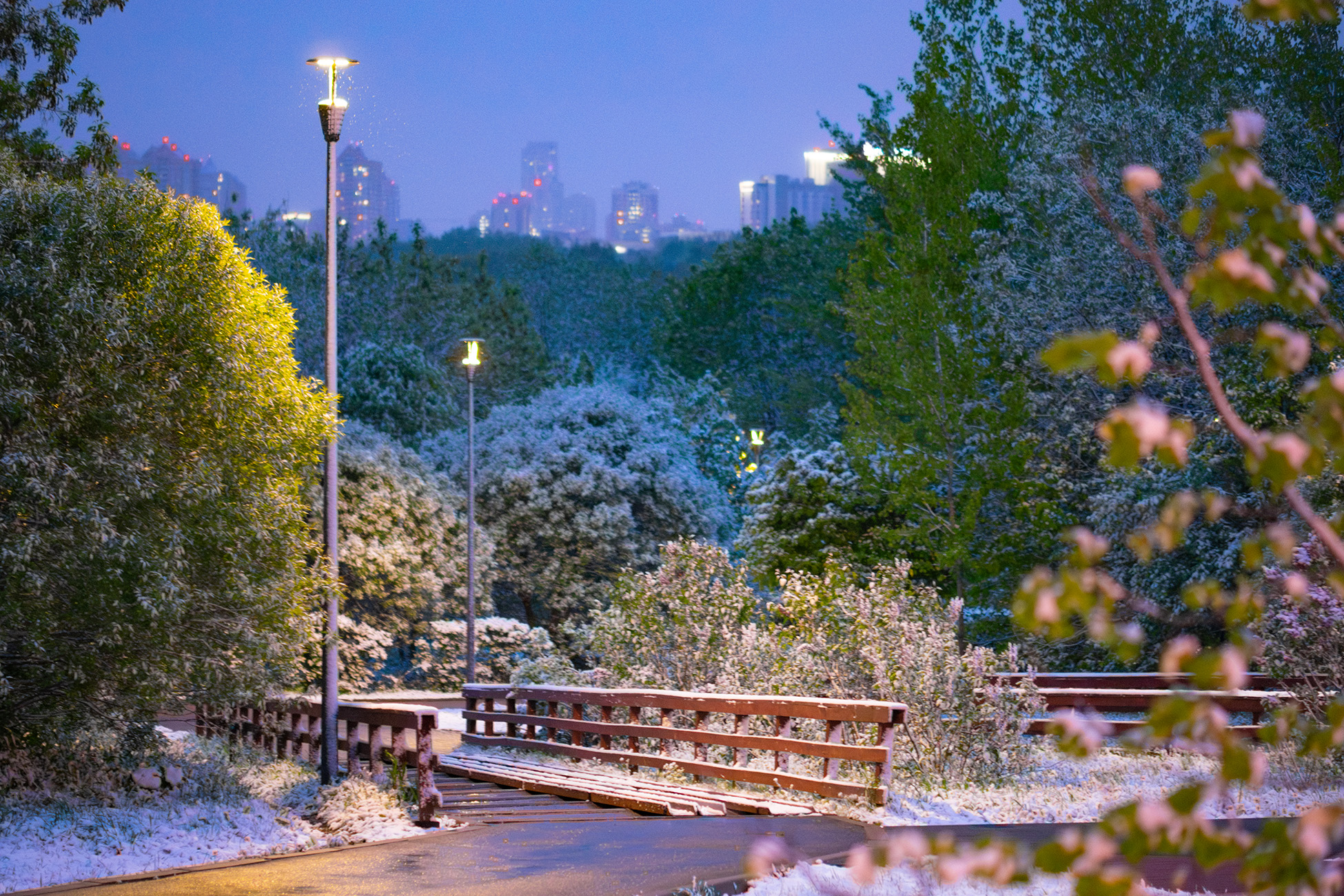 Майский снег